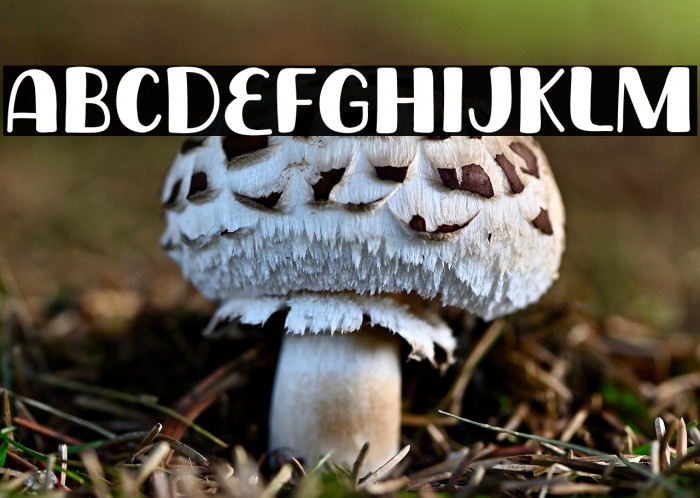 Monday Banana Example 2