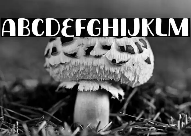 Monday Banana Font examples