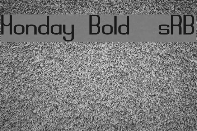 Monday Bold [sRB] Font examples