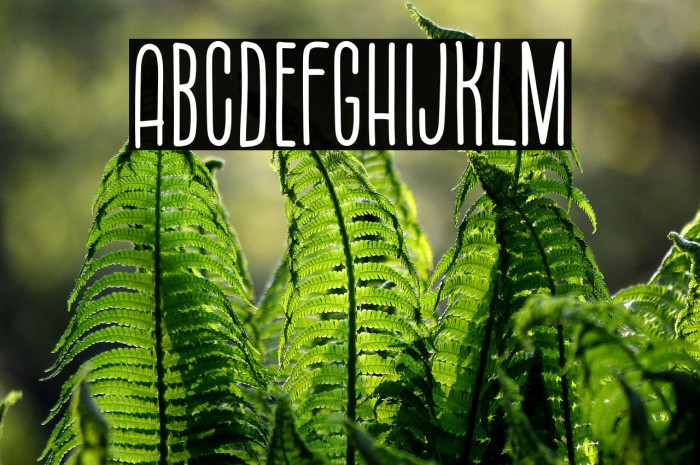 Monday Coffee Example 3