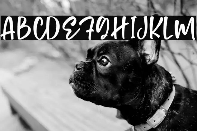 Monday Cookies Font examples