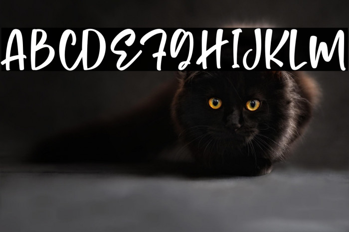 Monday Cookies Example 2