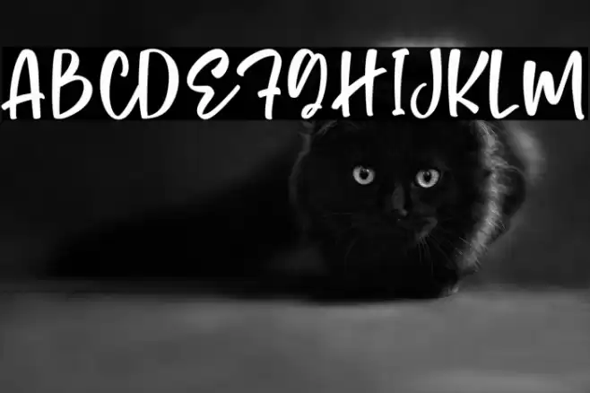 Monday Cookies Font examples