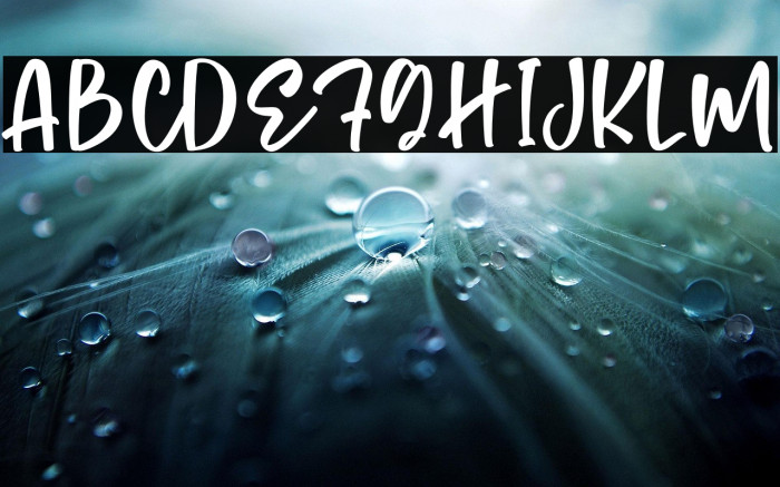 Monday Cookies Example 3