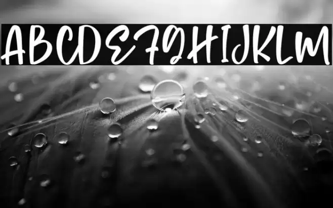 Monday Cookies Font examples