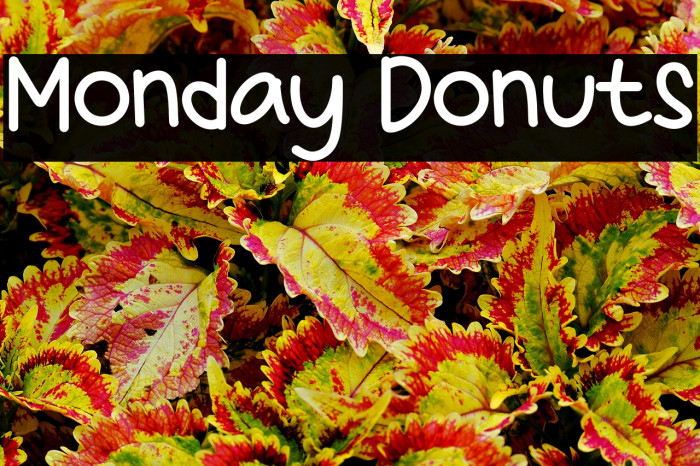 Monday Donuts Example 1