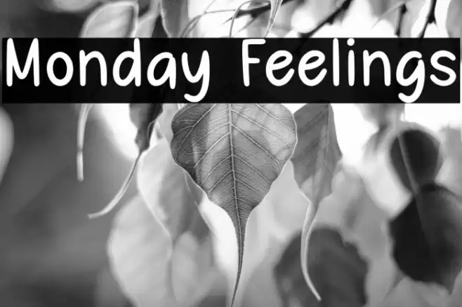 Monday Feelings Font examples