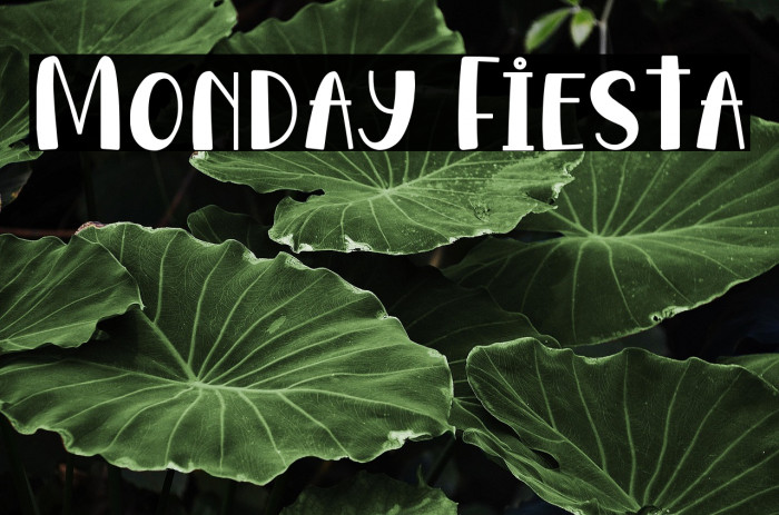 Monday Fiesta Example 2