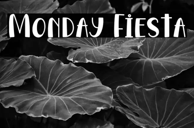 Monday Fiesta Font examples