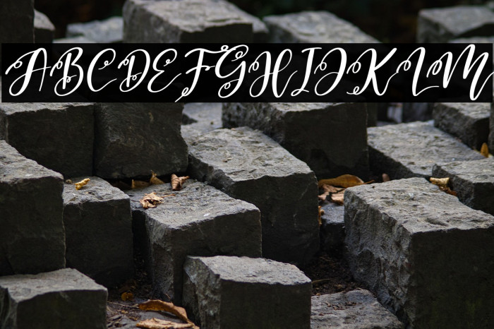 Monday Holiday Italic Example 2