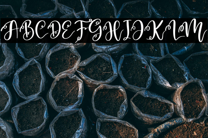 Monday Holiday Example 2