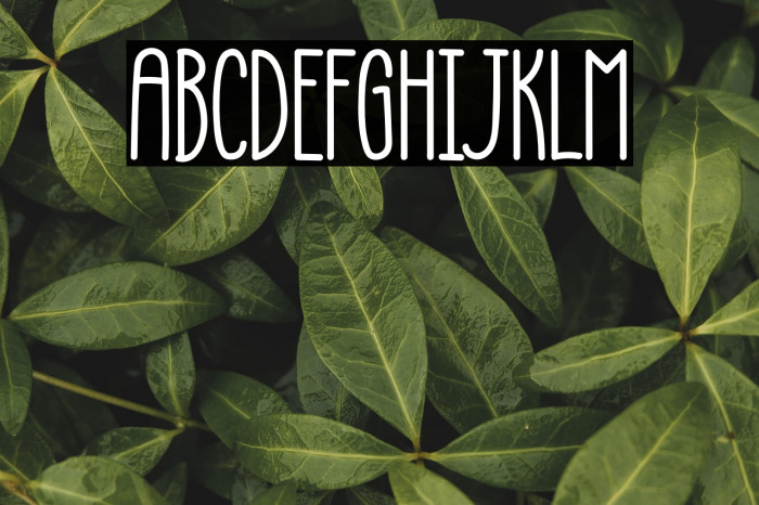 Monday Party Example 1