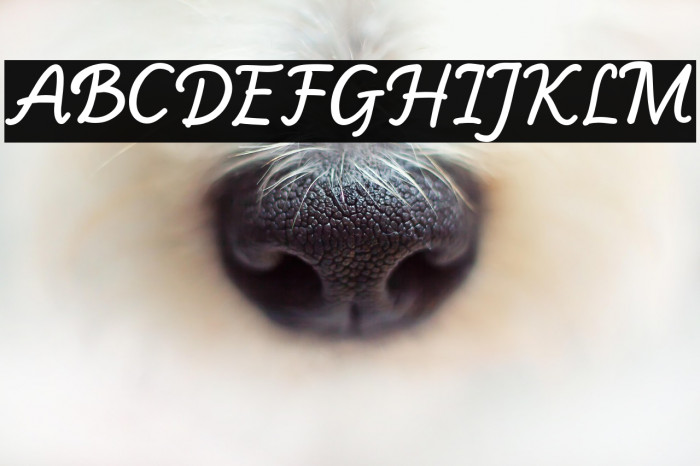 Monday Rain Example 1