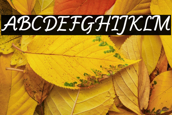 Monday Rain Example 2