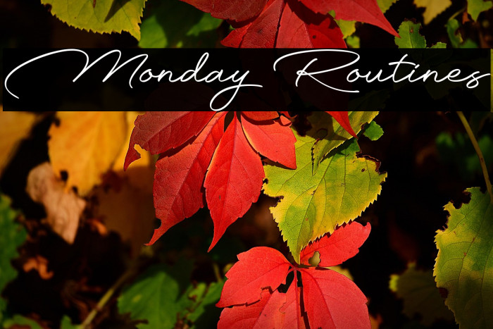 Monday Routines Example 2