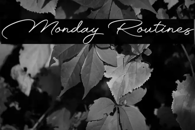 Monday Routines Example 2