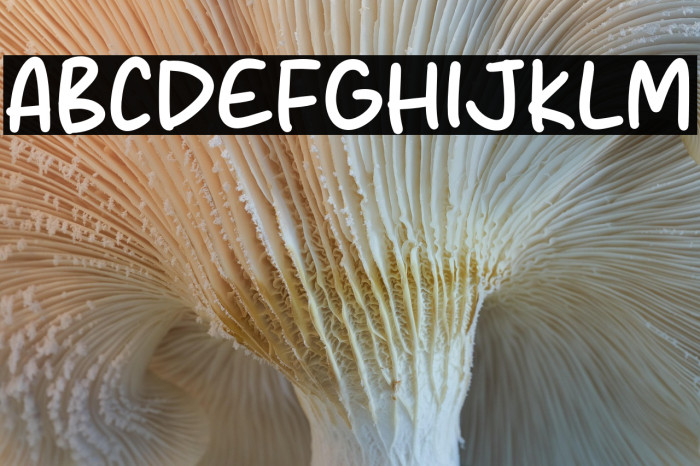 Monday Spark Example 2