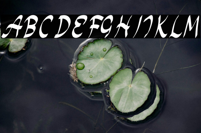 Monday Special Example 2