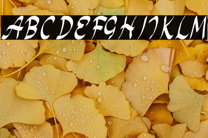 Monday Special Example 3