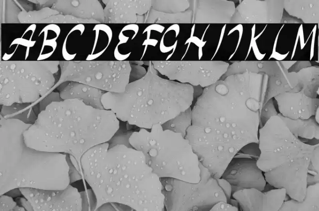 Monday Special Font examples