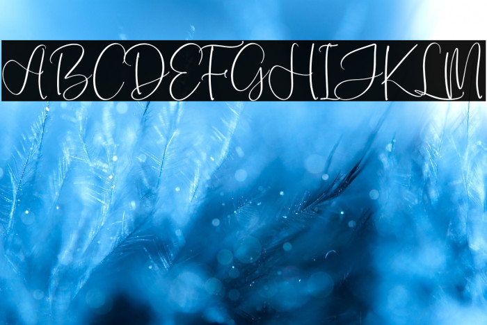 Monday Sunny Example 1