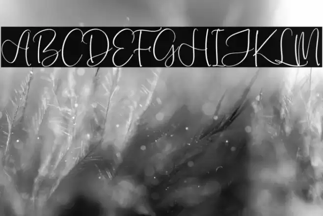 Monday Sunny Caratteri examples