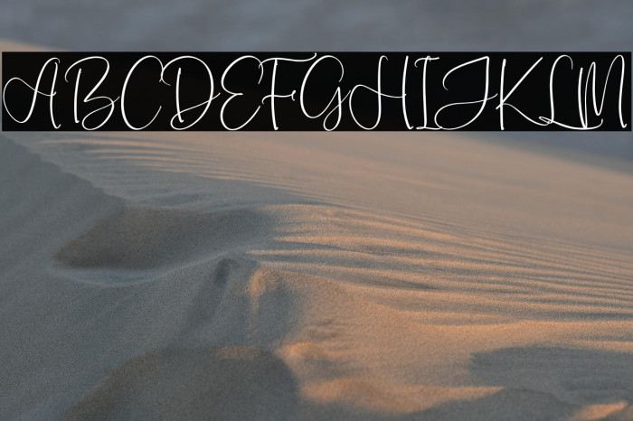 Monday Sunny Example 2