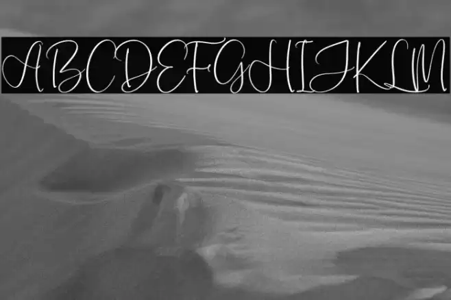 Monday Sunny Caratteri examples