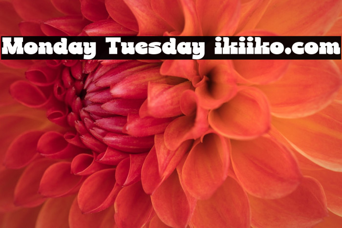 Monday Tuesday ikiiko.com Example 2