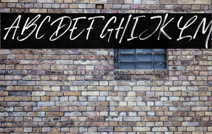 Monday Vacation Italic Script Example 2