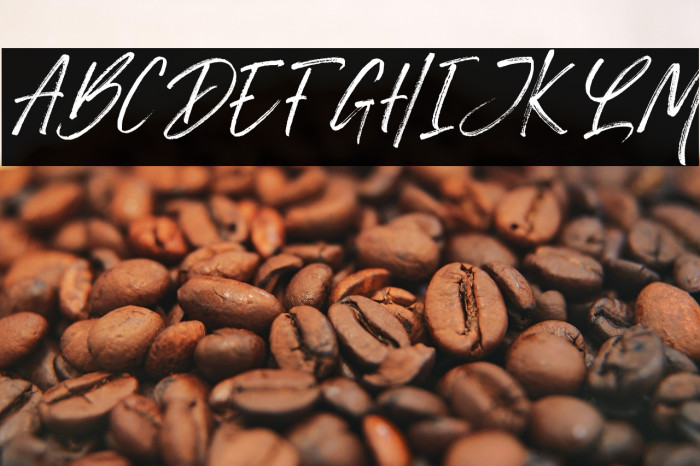 Monday Vacation Italic Script Example 3