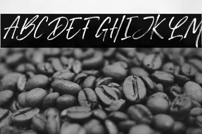 Monday Vacation Italic Script Font examples