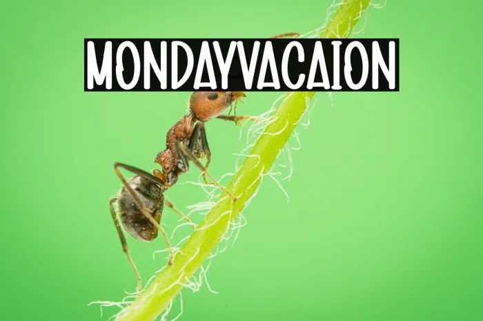 Monday Vacation Example 2