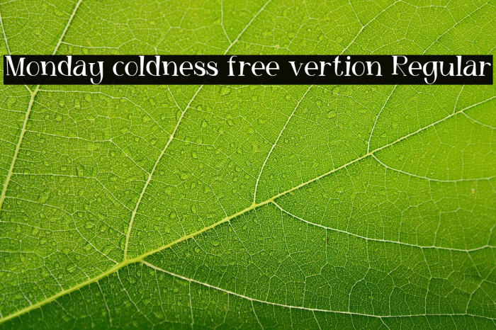 Monday coldness free vertion Regular Example 3