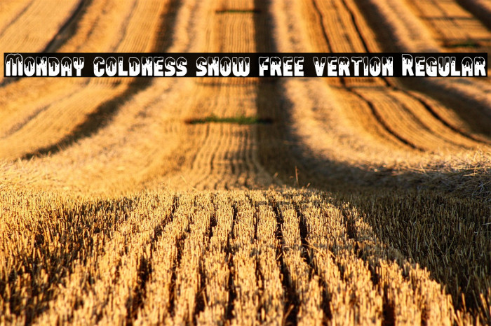 Monday coldness snow free vertion Regular Example 2