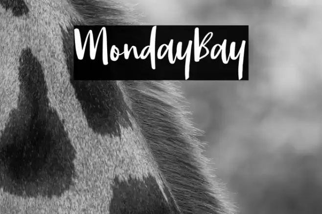 MondayBay Font examples