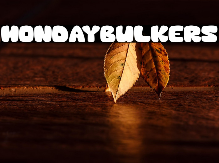 MondayBulkers Example 2