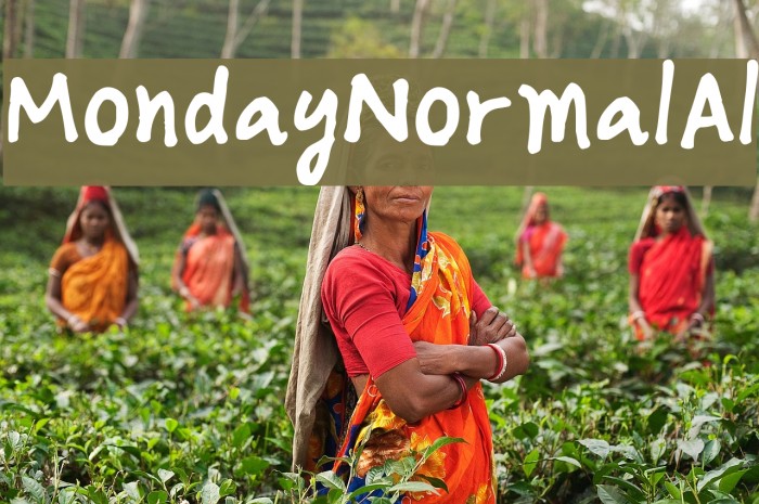 MondayNormalAl Example 2