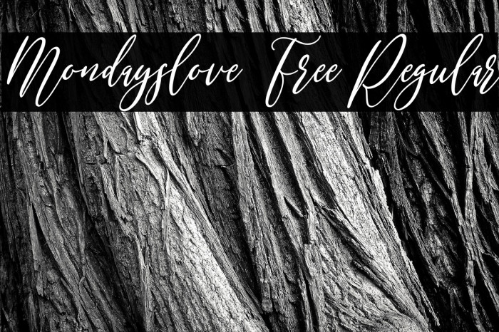 Mondayslove Free Regular Example 3