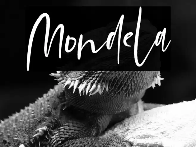 Mondela Example 2