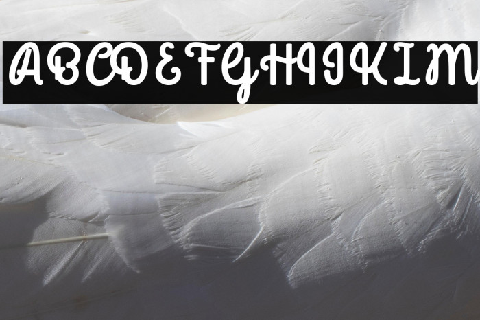 Mondella Demo Example 2