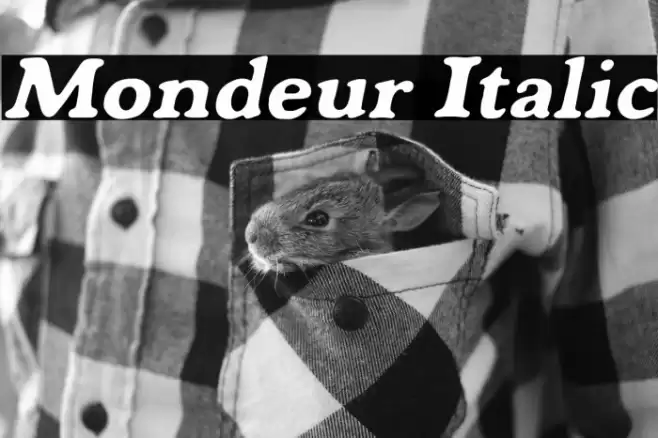 Mondeur Italic Font examples
