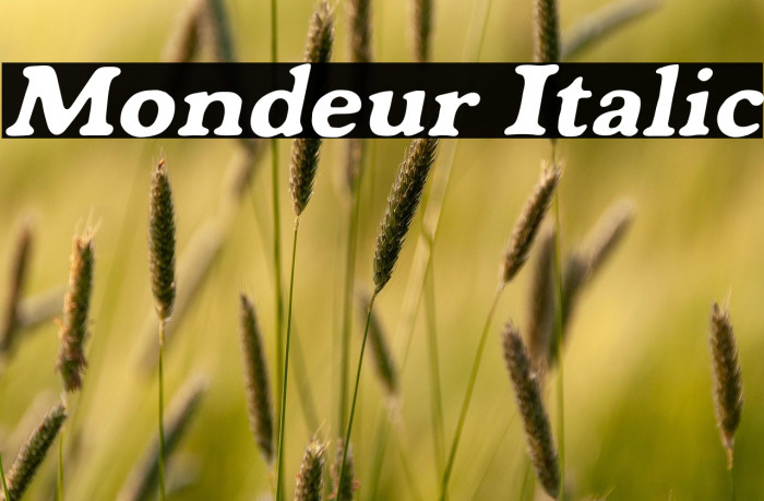 Mondeur Italic Example 3