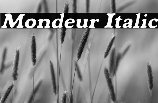 Mondeur Italic Font examples