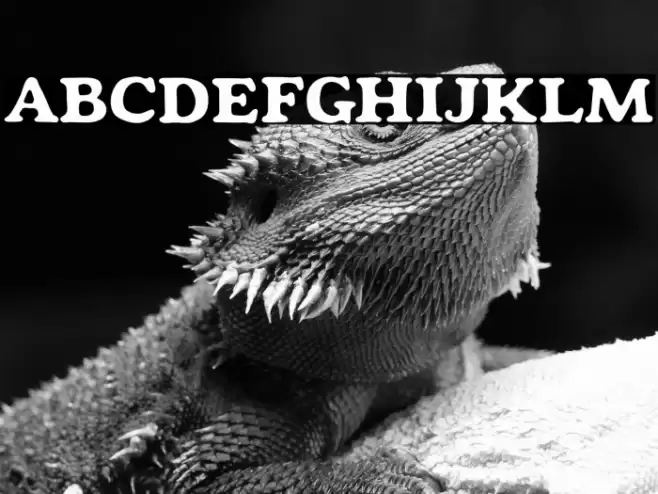 Mondeur-Regular Font examples