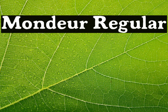 Mondeur Regular Example 2