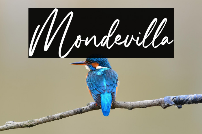 Mondevilla Example 2