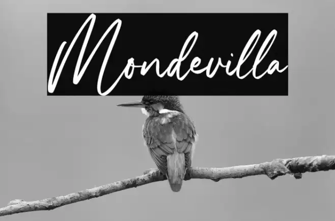 Mondevilla Example 2