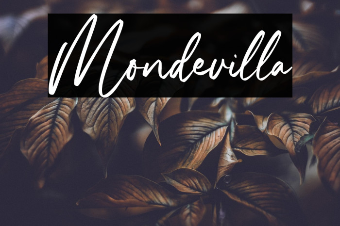 Mondevilla Example 3