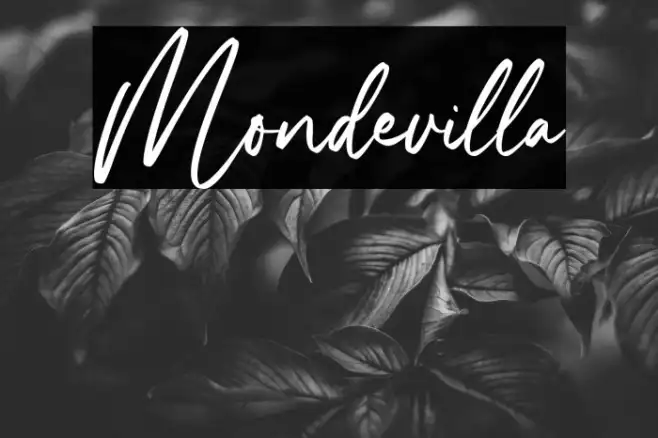 Mondevilla Example 3